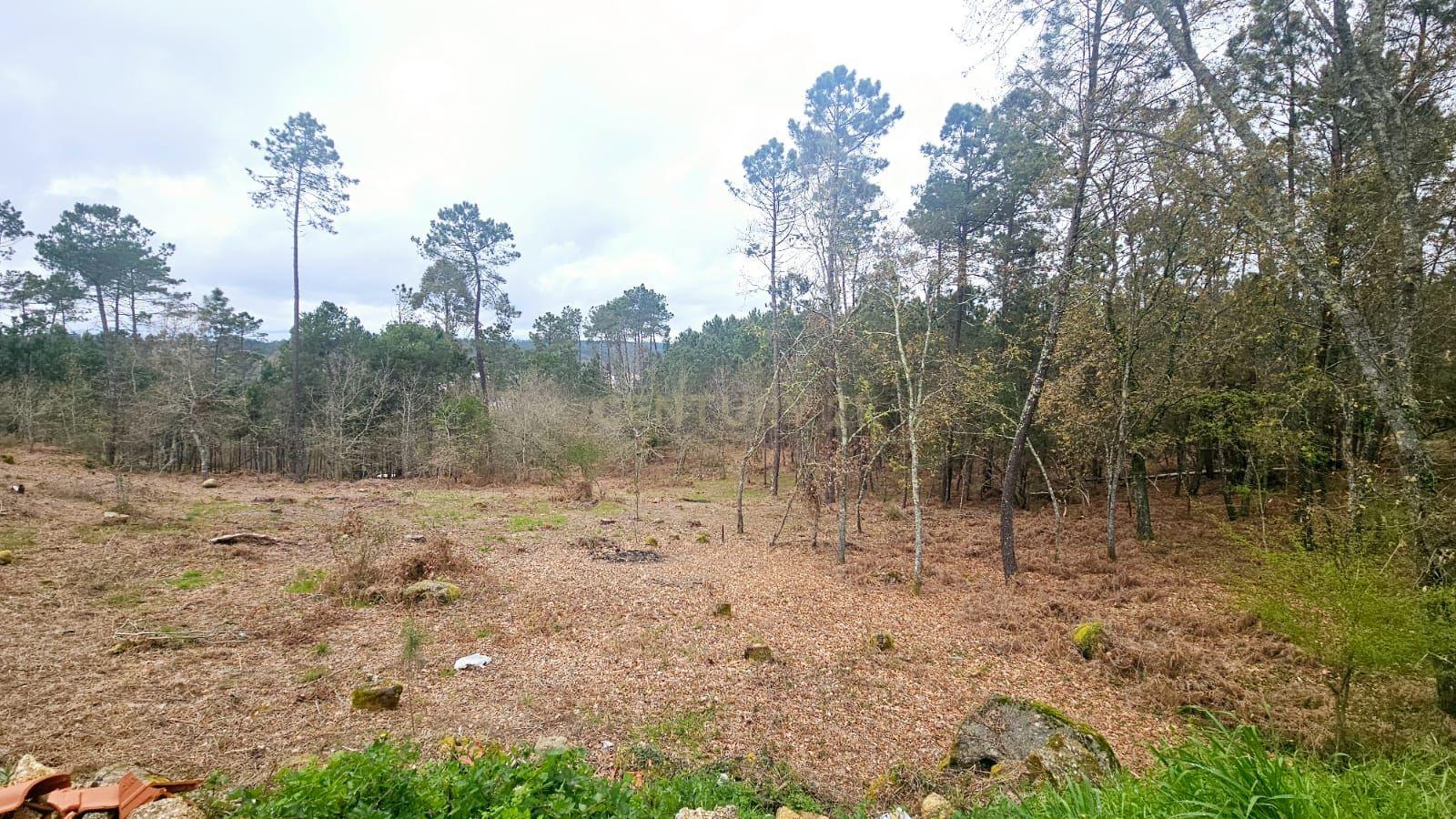 Terreno Construível em Viseu com Vista Panorâmica e Acesso Fácil - Image 5